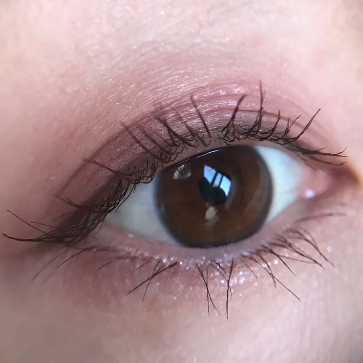 シルキースフレアイズ(マットタイプ)/キャンメイク/アイシャドウパレットを使ったクチコミ(4枚目)