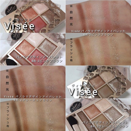 パノラマデザイン アイパレット/Visée/アイシャドウパレットを使ったクチコミ(8枚目)
