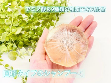 purebar ピュアバー 和漢ハーブシャンプーバー スムースのクチコミ「♡purebar♡
@purebar_official
\次世代の固形シャンプー🫧💚/
.....」(2枚目)