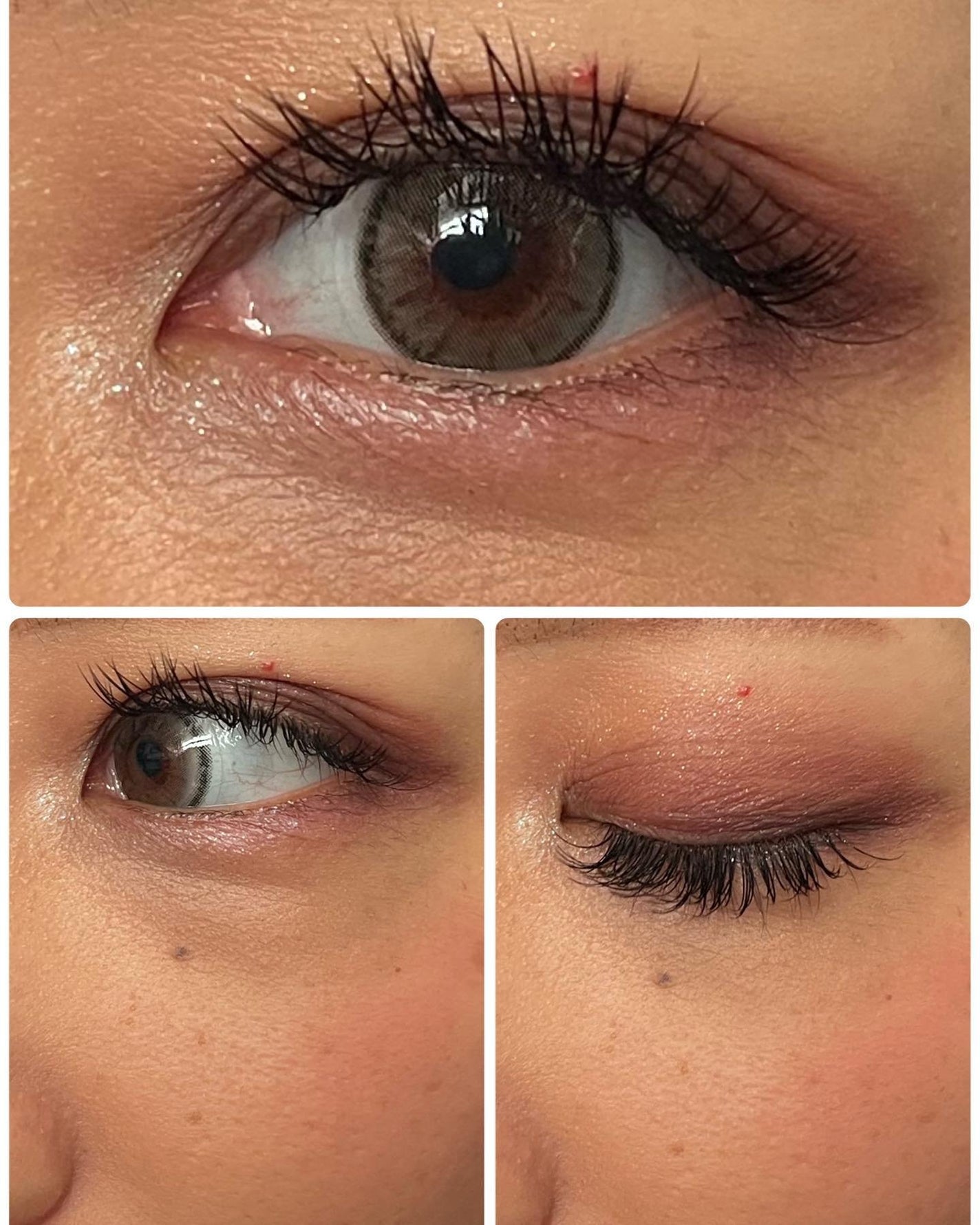 TOPARDS 1day/TOPARDS/ワンデー(1DAY)カラコンを使ったクチコミ(5枚目)