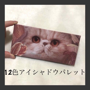 【今日のお気に入り】
【Perfect Diary  animal  
　　　　12色アイシャドウパレット（CAT）】
【値段】Q10で¥1480

- - - - - - - - - - - - - 