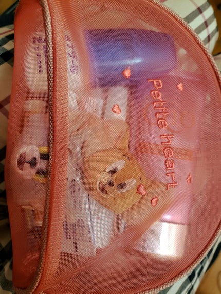 ポーチ/DAISO/その他を使ったクチコミ(1枚目)