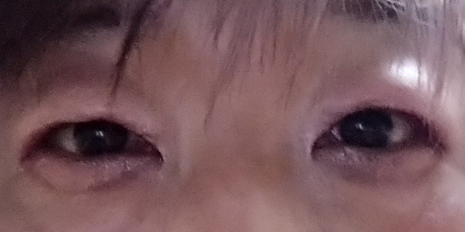 アイシャドウパレット 8色/xixi/アイシャドウパレットを使ったクチコミ（2枚目）