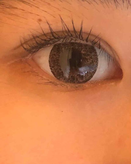 クイックラッシュカーラー/キャンメイク/マスカラ下地を使ったクチコミ(2枚目)