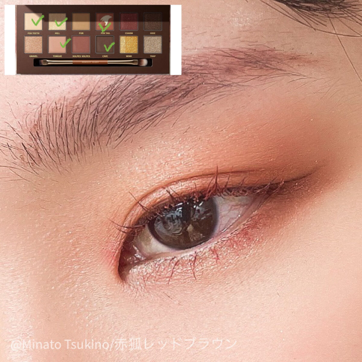 エクスプローラ12色 動物アイシャドウパレット/PERFECT DIARY/アイシャドウパレットを使ったクチコミ（3枚目）