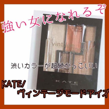 ヴィンテージモードアイズ/KATE/アイシャドウパレットを使ったクチコミ（1枚目）