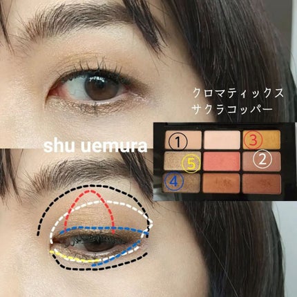 クロマティックス - サクラ コッパー/shu uemura/アイシャドウパレットを使ったクチコミ(4枚目)