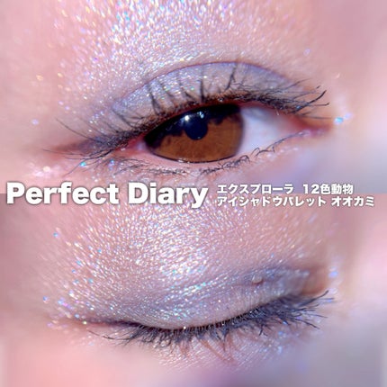 エクスプローラ12色 動物アイシャドウパレット/PERFECT DIARY/アイシャドウパレットを使ったクチコミ(7枚目)