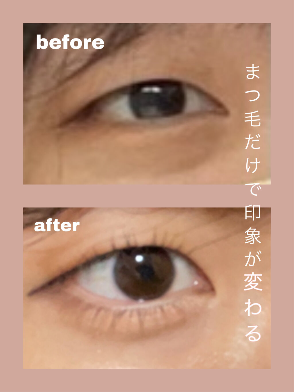 クイックラッシュカーラー/キャンメイク/マスカラ下地を使ったクチコミ（1枚目）