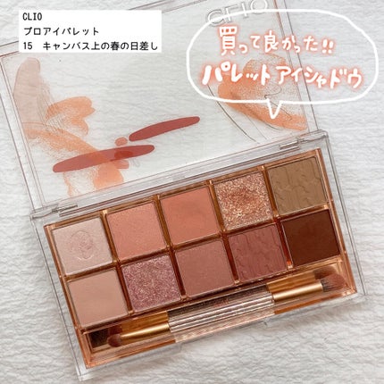 プロ アイ パレット/CLIO/アイシャドウパレットを使ったクチコミ(1枚目)