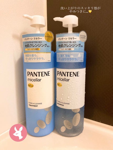 PRO-V ミセラー ピュア&クレンズ ノンシリコンシャンプー/トリートメント/パンテーン/市販シャンプーを使ったクチコミ(1枚目)