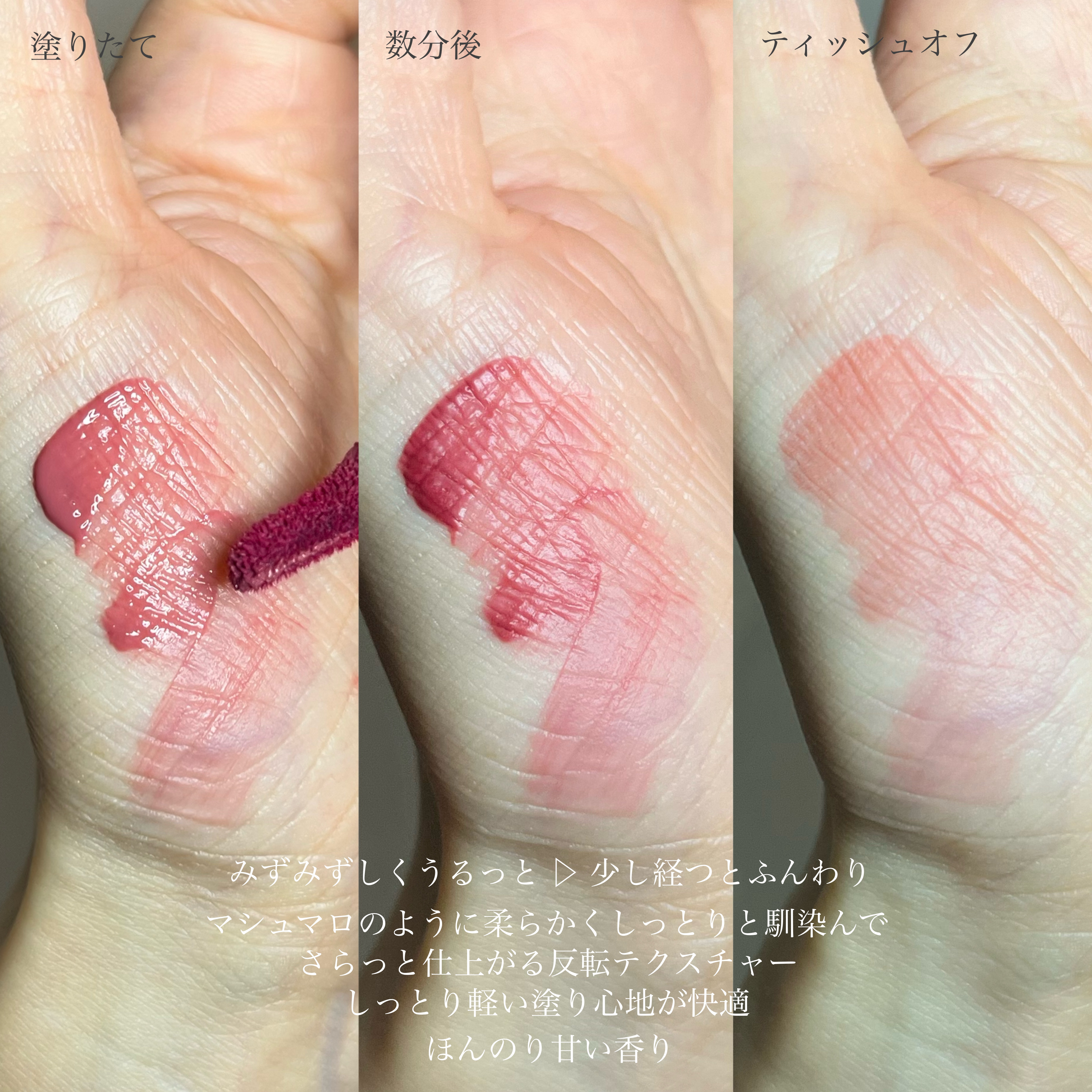 デュブラリーティント/too cool for school/リップティントを使ったクチコミ（3枚目）