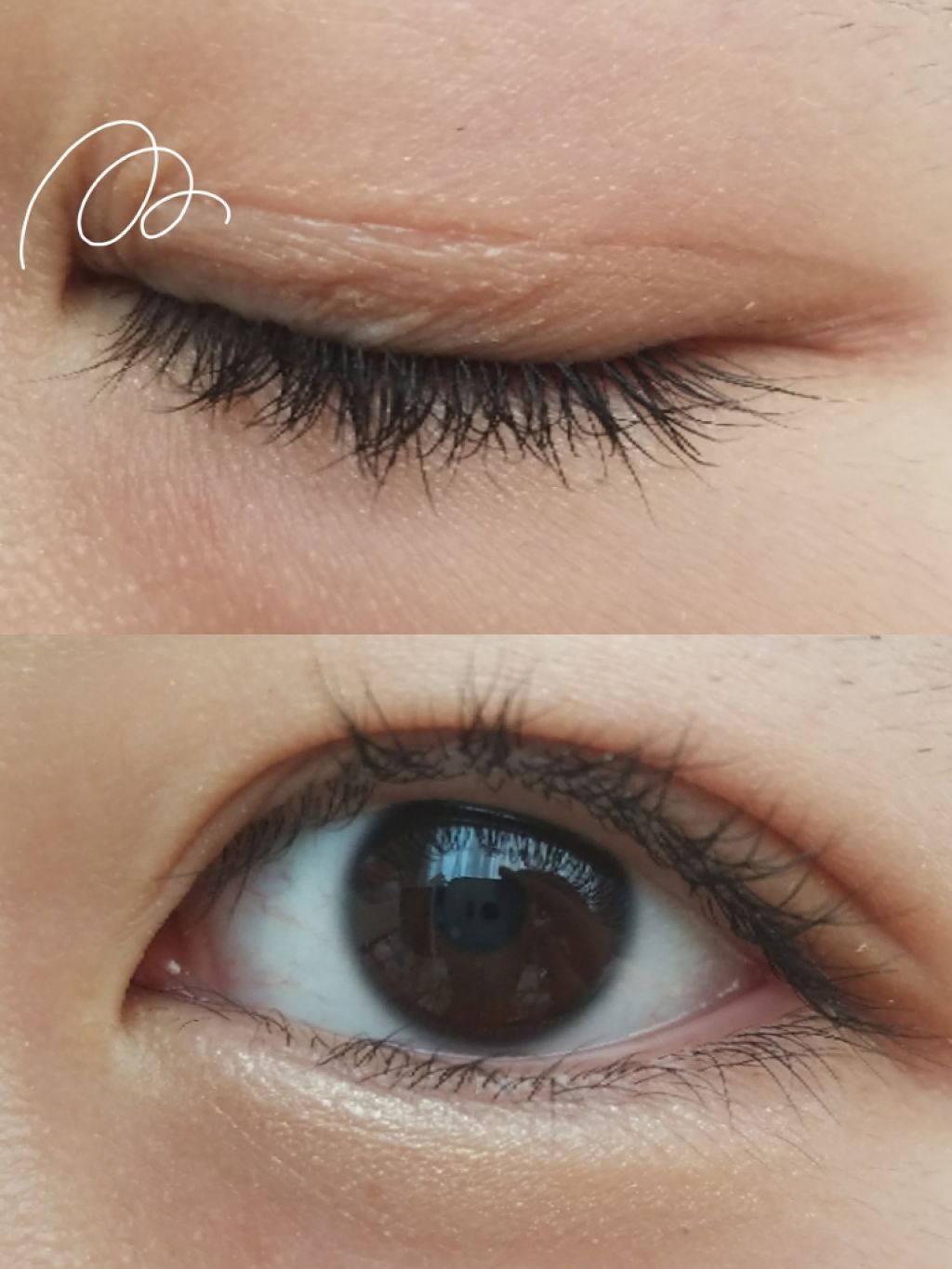 DHCアイラッシュトニック/DHC/まつげ美容液を使ったクチコミ(2枚目)