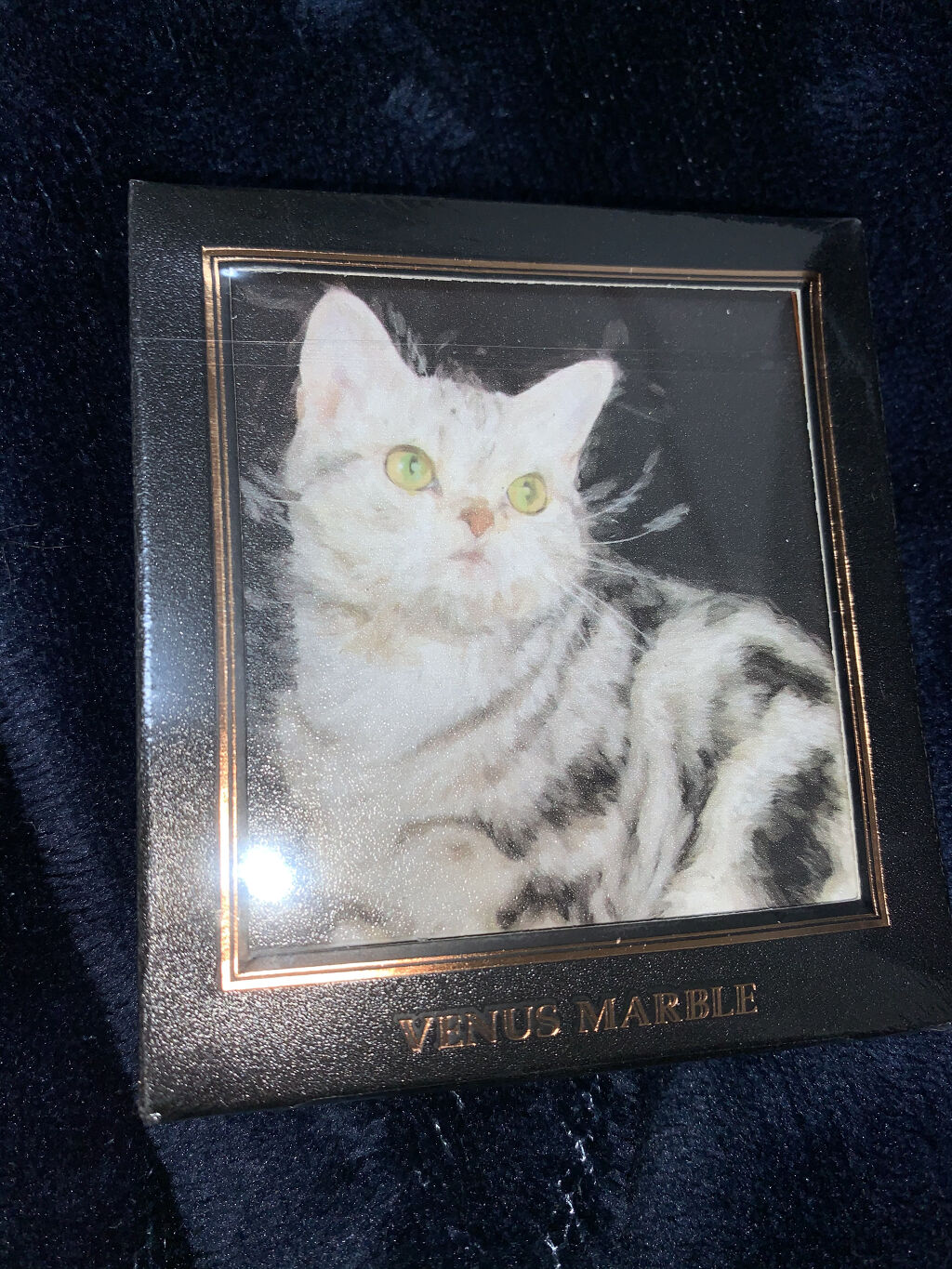 Venus Marble アイシャドウキャットシリーズ/Venus Marble/アイシャドウパレットを使ったクチコミ（1枚目）