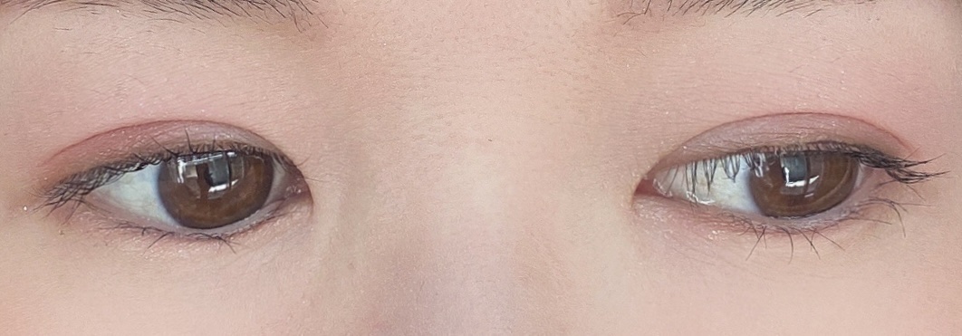 ザ ルージュ/DECORTÉ/口紅を使ったクチコミ（3枚目）