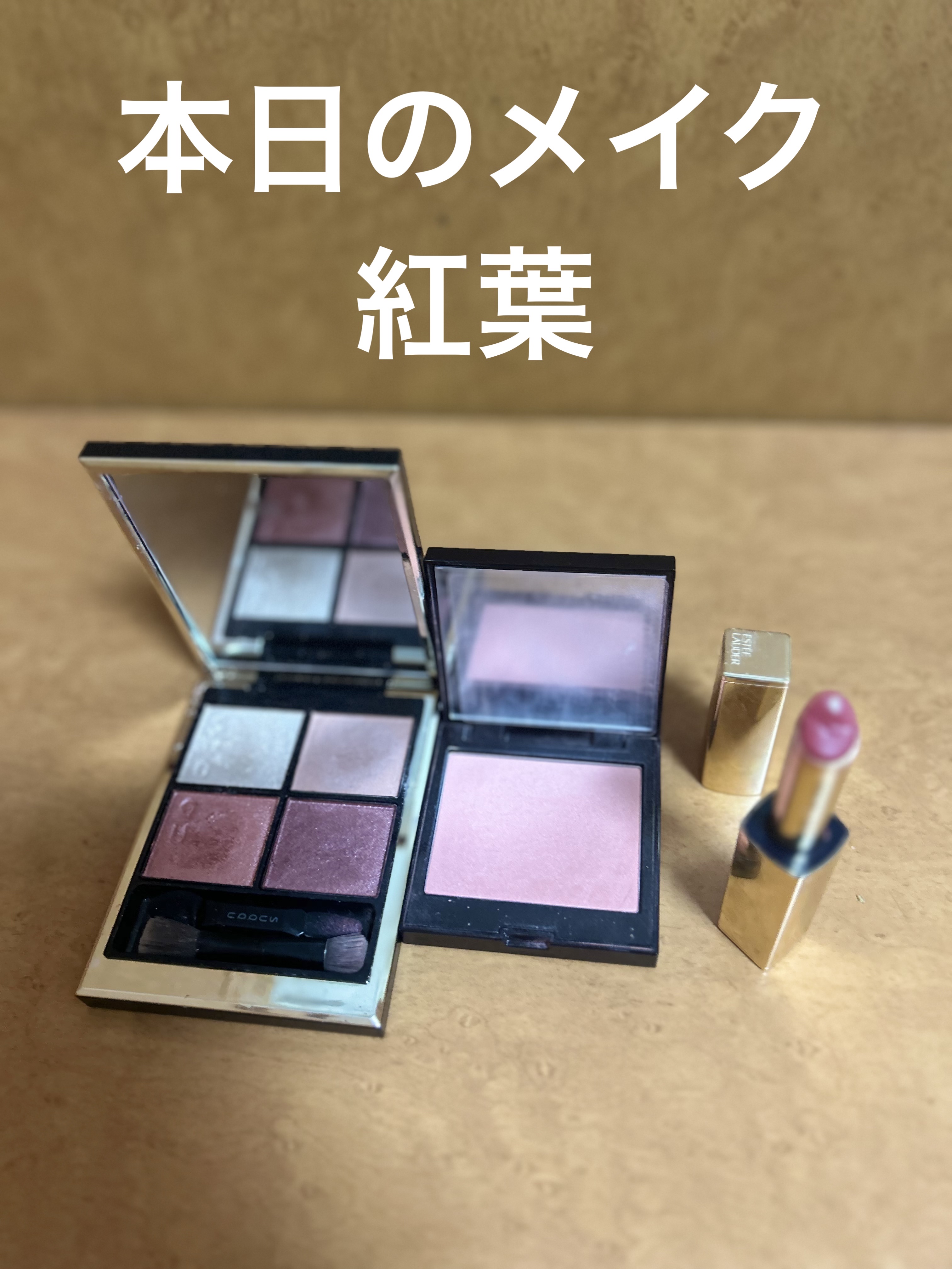 シグニチャー カラー アイズ/SUQQU/アイシャドウパレットを使ったクチコミ（1枚目）