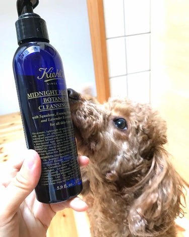 キールズ ミッドナイトボタニカル クレンジングオイル/Kiehl's/オイルクレンジングを使ったクチコミ（1枚目）