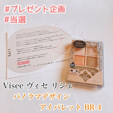 パノラマデザイン アイパレット/Visée/アイシャドウパレットを使ったクチコミ（1枚目）