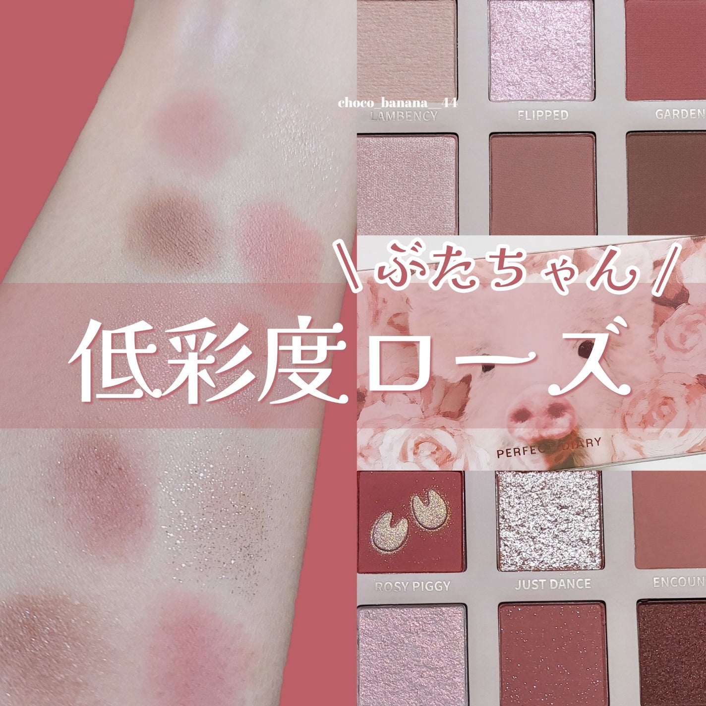 エクスプローラ12色 動物アイシャドウパレット/PERFECT DIARY/アイシャドウパレットを使ったクチコミ(1枚目)