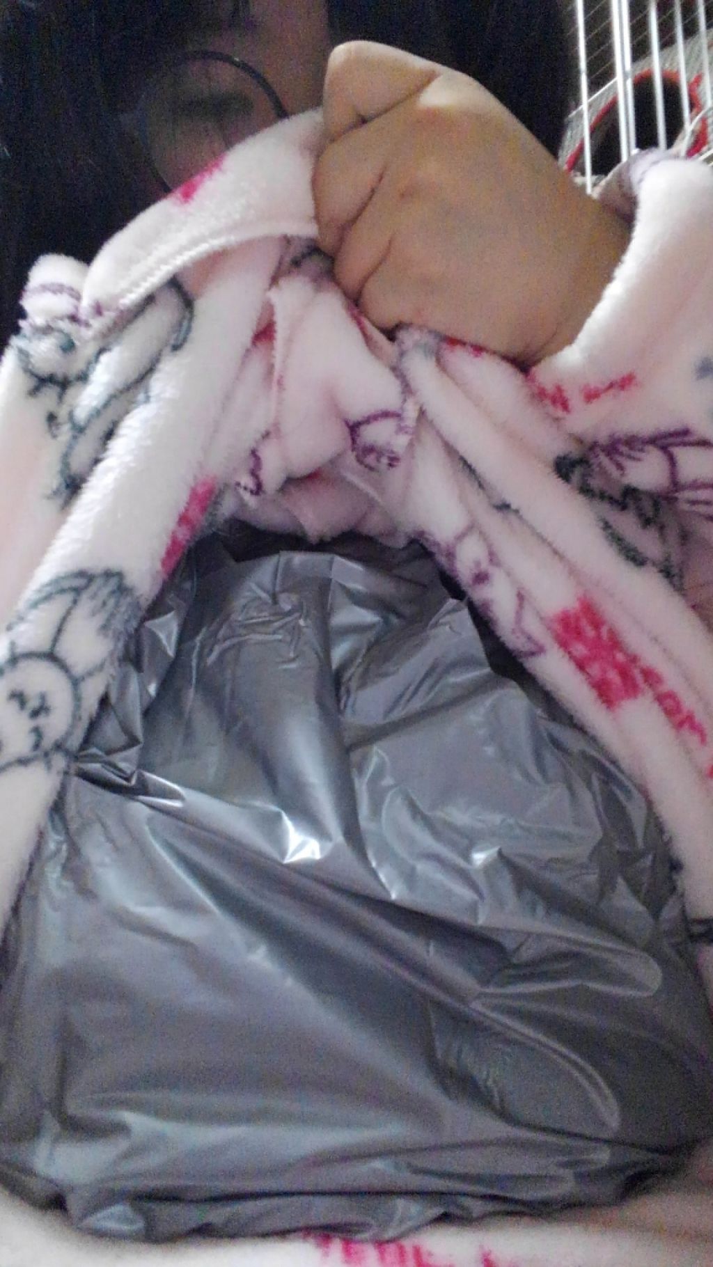 サウナスーツ上下セット/DAISO/ボディグッズを使ったクチコミ（3枚目）