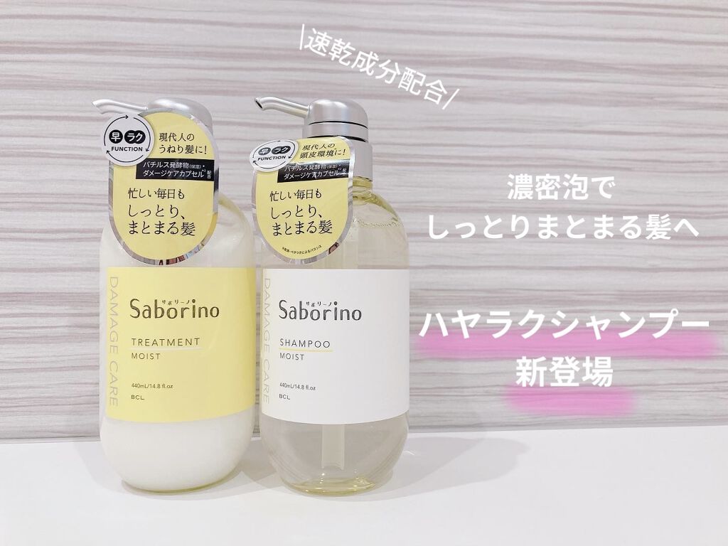 定番超歓迎】 レイブリージングシャンプー 1000ml レイ Rey