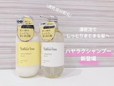 ハヤラクシャンプー モイスト/トリートメント モイスト/サボリーノ/シャンプー・コンディショナーを使ったクチコミ（1枚目）