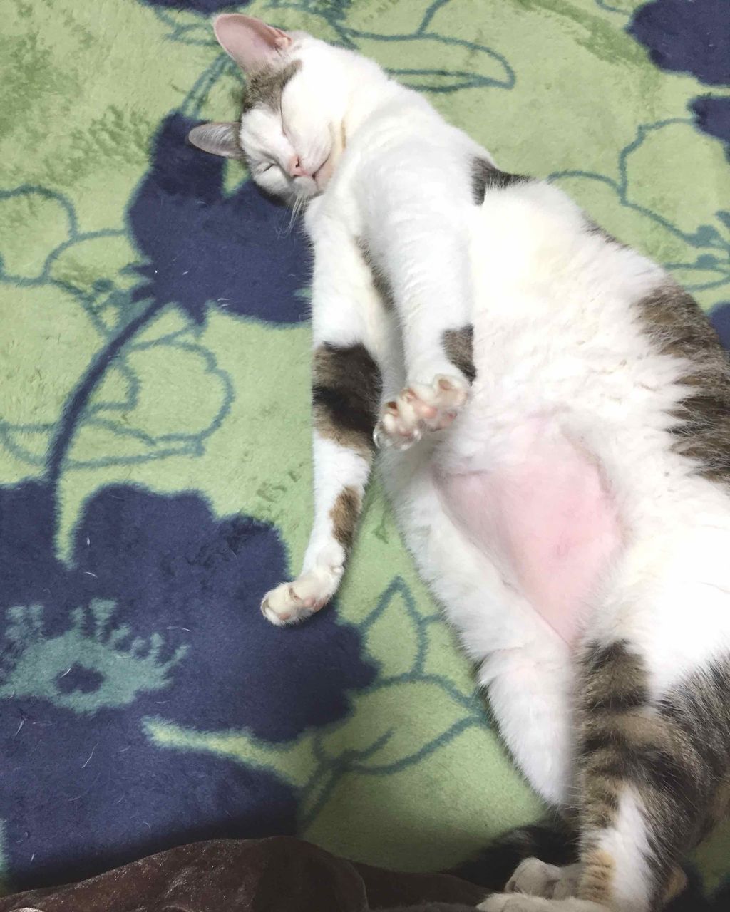 ピメル パーフェクトティアマジック/pdc/ペンシルアイライナーを使ったクチコミ(4枚目)