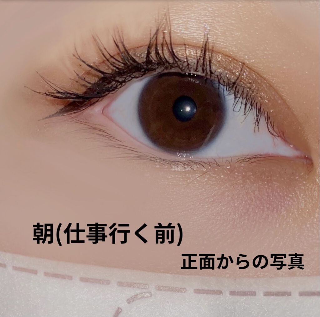 試してみた】ラッシュ クイーン フェリン ブラック WP HELENA