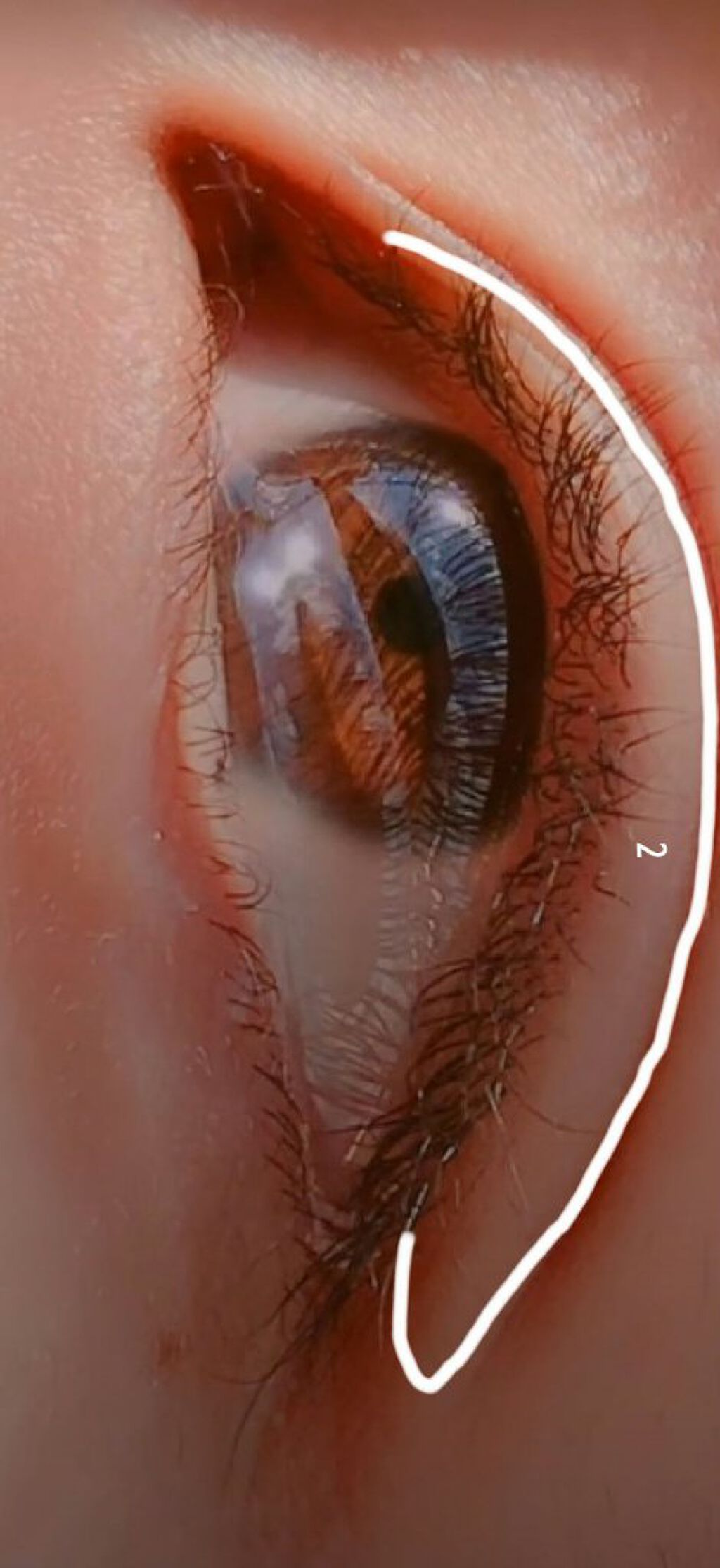 UR GLAM　BLOOMING EYE COLOR PALETTE/U R GLAM/アイシャドウパレットを使ったクチコミ（2枚目）