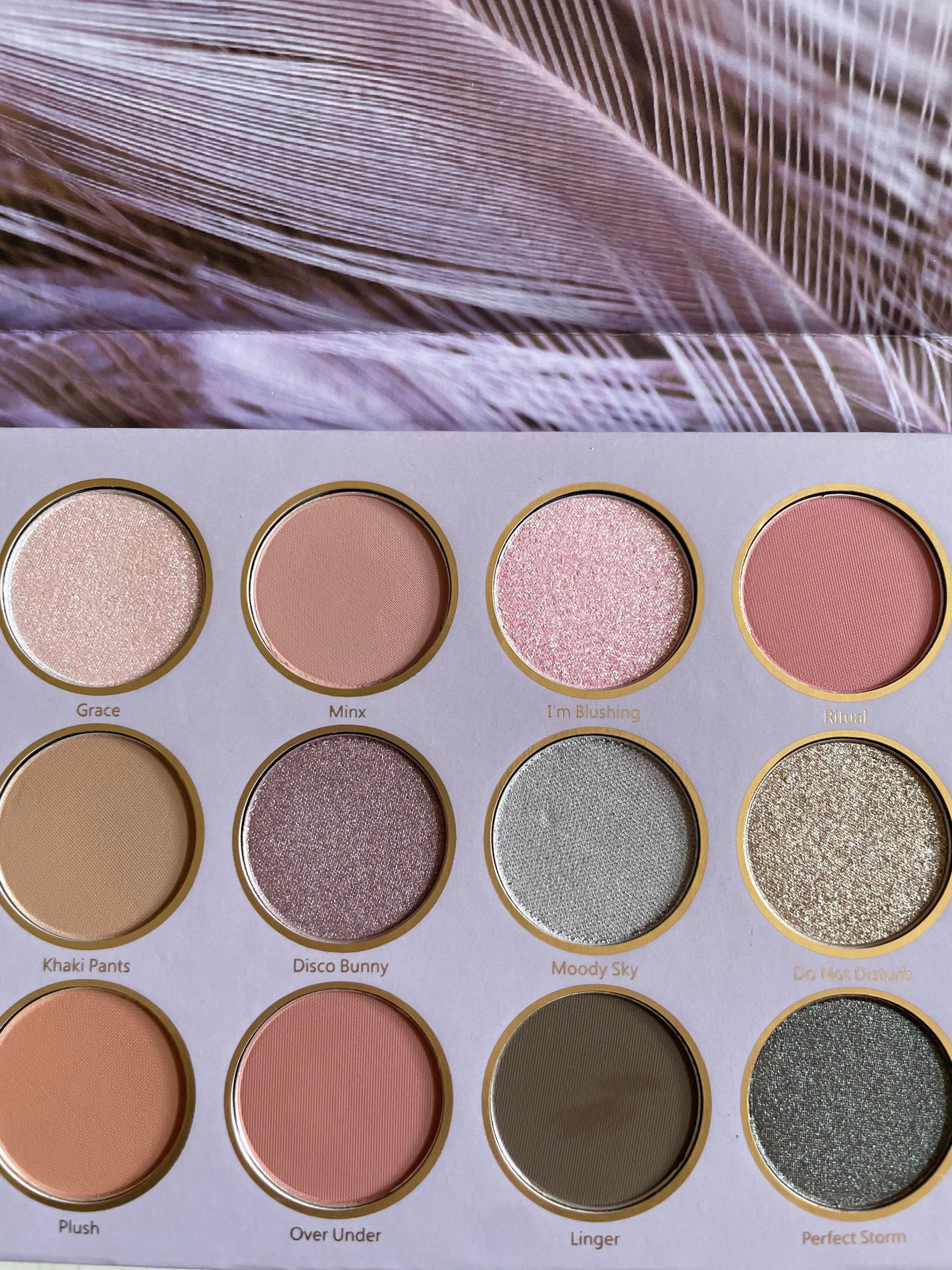 SHEGLAM 12色アイシャドウパレット/SHEGLAM/パウダーアイシャドウを使ったクチコミ(3枚目)