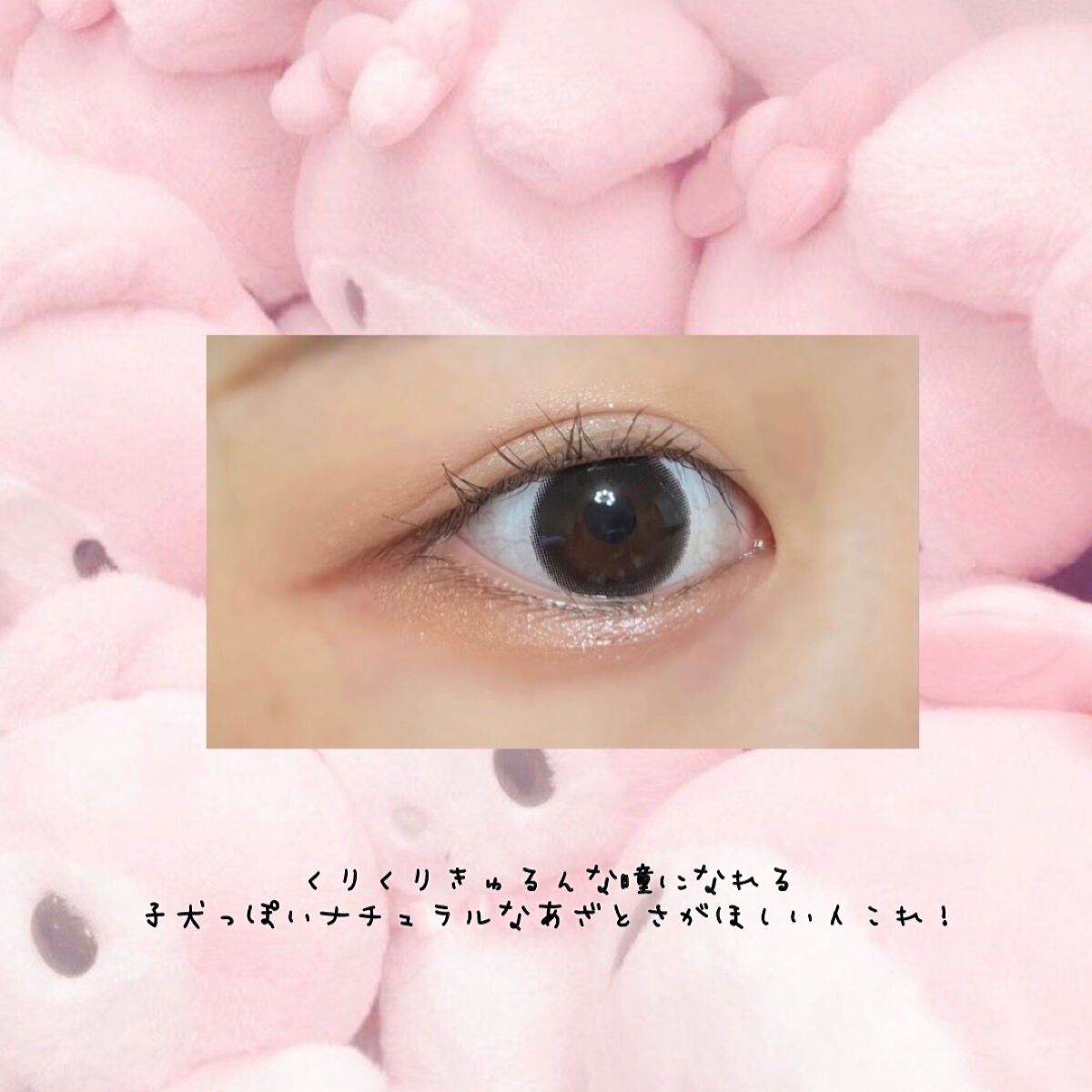 feliamo 1day/feliamo/ワンデー(1DAY)カラコンを使ったクチコミ(2枚目)