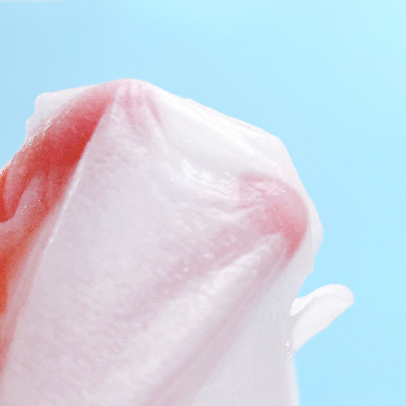 スンジョン シートマスク/ETUDE/シートマスク・パックを使ったクチコミ(4枚目)