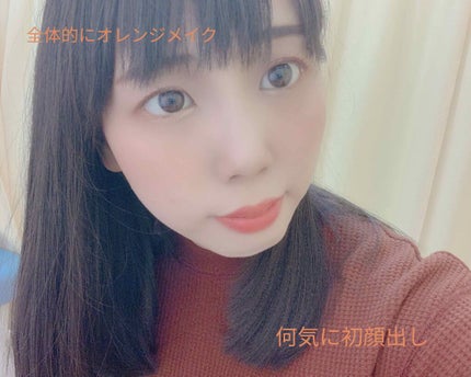 エレガンス リクイッド ルージュ ビジュー/Elégance/口紅を使ったクチコミ(4枚目)