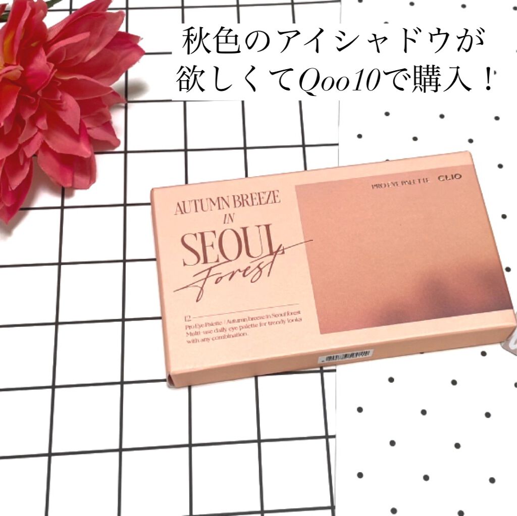 プロ アイ パレット/CLIO/アイシャドウパレットを使ったクチコミ(2枚目)