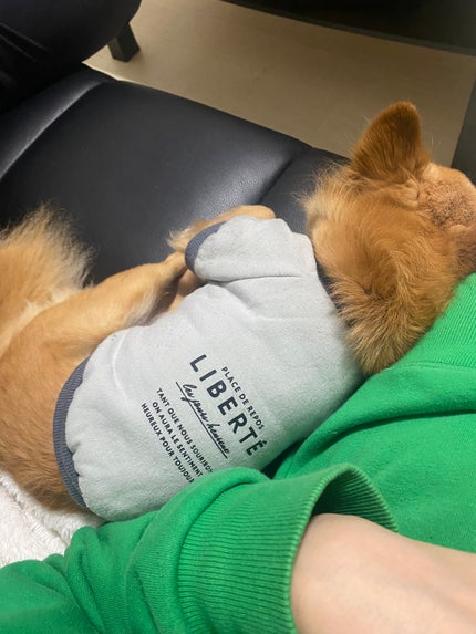 まつ毛パーマキット/LEPOREM/その他キットセットを使ったクチコミ(10枚目)