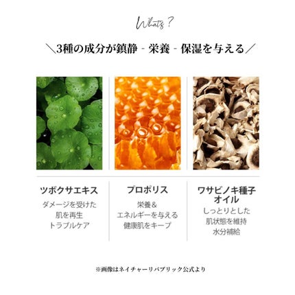 OLちゃん/田中みな実オタク on LIPS 「\話題の"シカ"シートマスク/⋆ネイチャーリパブリック様(@n..」(5枚目)