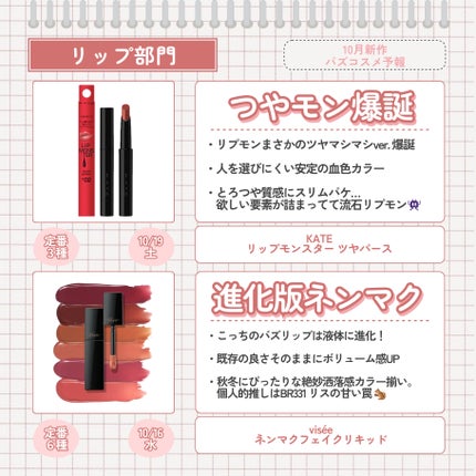 ネンマクフェイク リキッド/Visée/口紅を使ったクチコミ(3枚目)