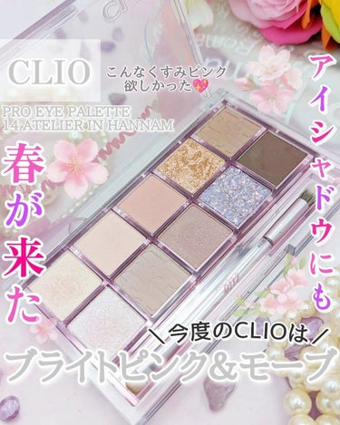 プロ アイ パレット/CLIO/アイシャドウパレットを使ったクチコミ（1枚目）