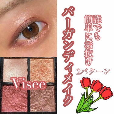 グロッシーリッチ アイズ/Visée/アイシャドウパレットを使ったクチコミ（1枚目）