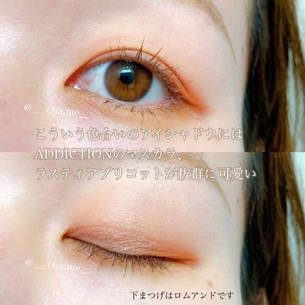 スモール アイシャドウ/M・A・C/単色アイシャドウを使ったクチコミ(7枚目)