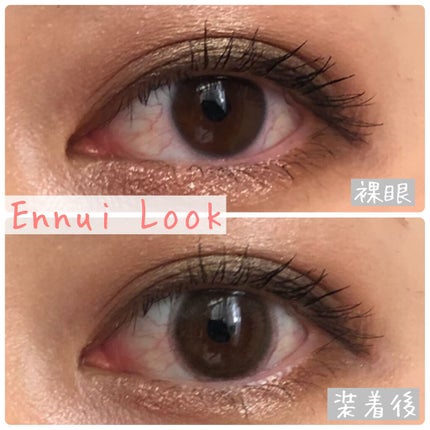 エバーカラーワンデーナチュラル モイストレーベルUV アンティークベージュ/エバーカラー/ワンデー(1DAY)カラコンを使ったクチコミ(3枚目)