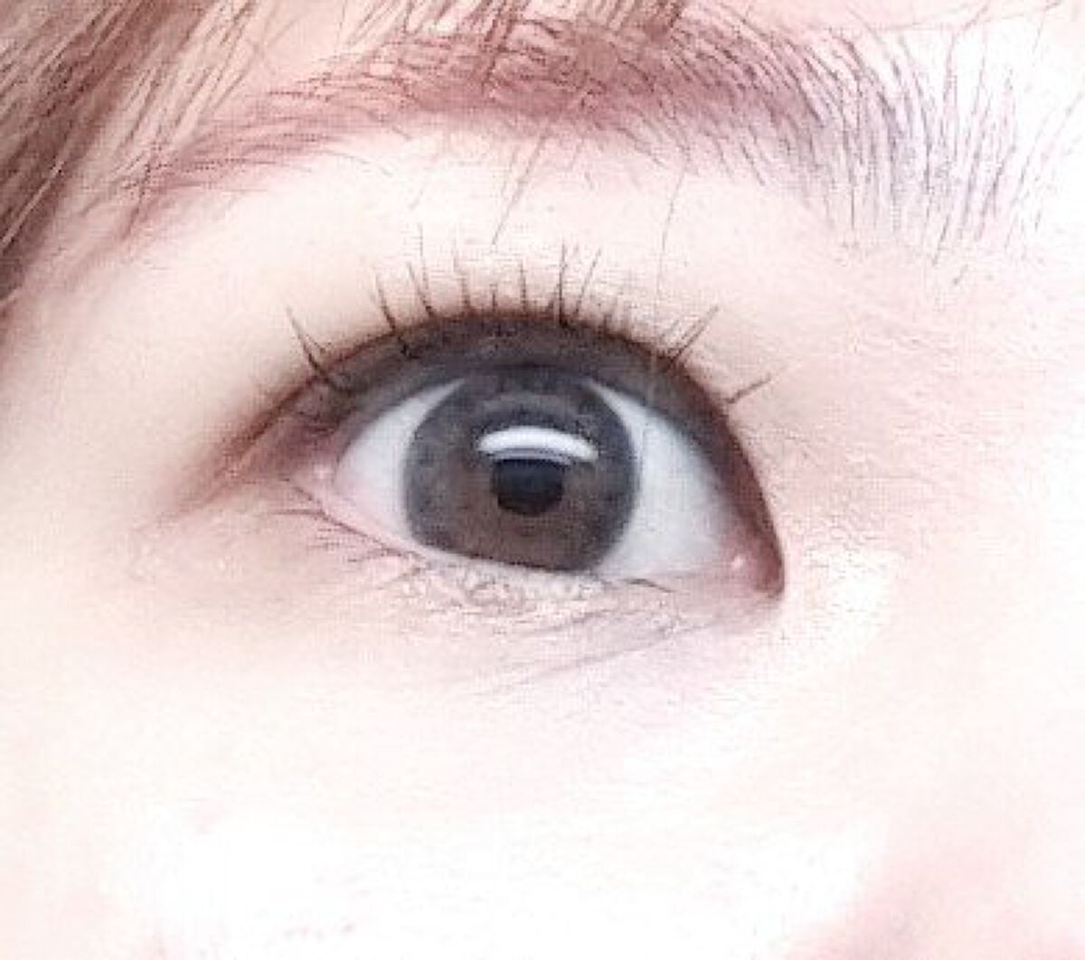 Flurry by colors 1day/Flurry by colors/ワンデー（１DAY）カラコンを使ったクチコミ（2枚目）