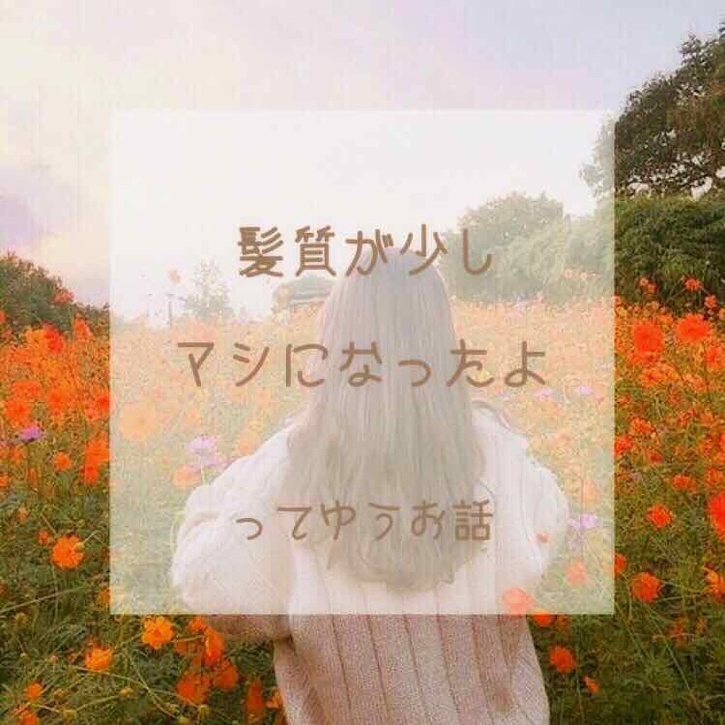 柳屋　あんず油/柳屋あんず油/ヘアオイルを使ったクチコミ（1枚目）