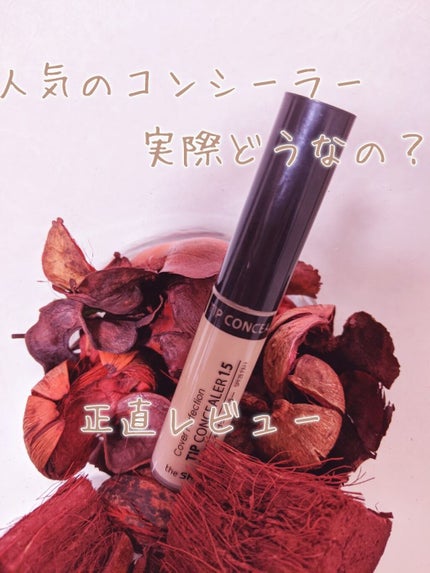 カバーパーフェクション チップコンシーラー/the SAEM/リキッドコンシーラーを使ったクチコミ(1枚目)