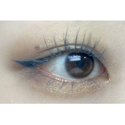 マイクロライナーインク/SHISEIDO/ペンシルアイライナーを使ったクチコミ(5枚目)