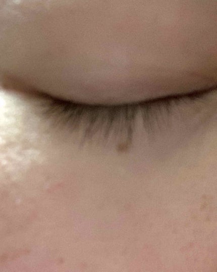 スカルプD ボーテ ピュアフリーアイラッシュセラム プレミアム/アンファー(スカルプD)/まつげ美容液を使ったクチコミ(2枚目)