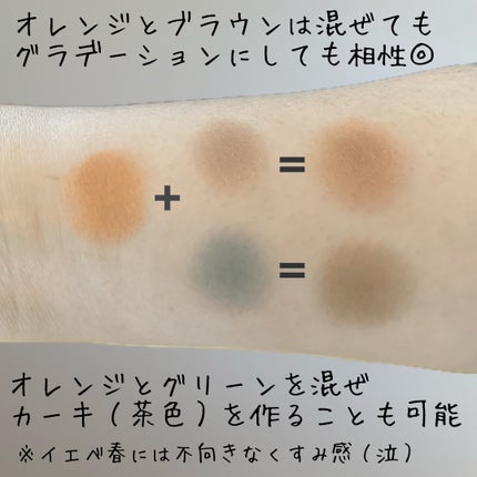 シグニチャー カラー アイズ/SUQQU/アイシャドウパレットを使ったクチコミ(5枚目)