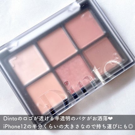 ブラーフィニシュシャドウパレット/Dinto/アイシャドウパレットを使ったクチコミ(3枚目)