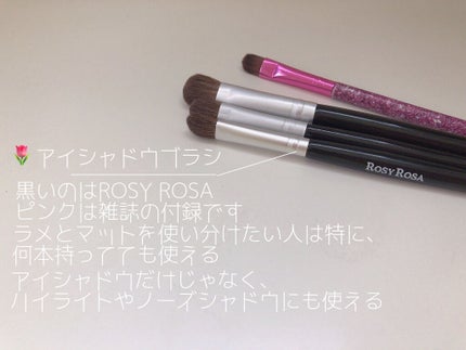 アイシャドウブラシセット/ロージーローザ/メイクブラシを使ったクチコミ(4枚目)