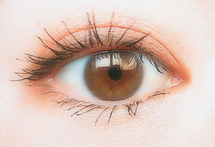 シングルカラーアイシャドウ/CEZANNE/単色アイシャドウを使ったクチコミ(1枚目)